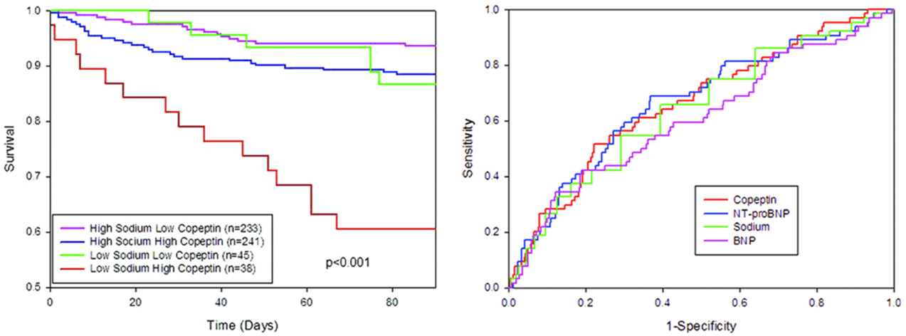 The left graph shows survival by copeptin median and sodium cut-point of 135 mEq/L, the right shows the receiver operating characteristic for NT-proBNP, copeptin, sodium, and BNP.